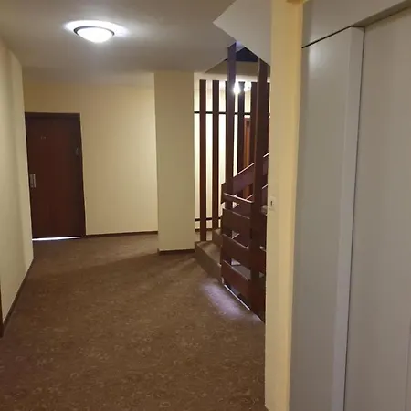 Apartment Belle Hutte Cote Pistes De La Bresse