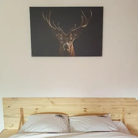 Apartment Belle Hutte Cote Pistes De