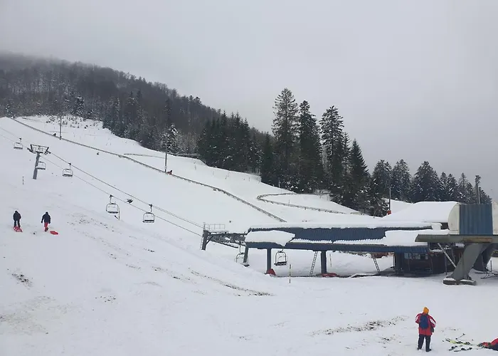 Belle Hutte Cote Pistes De Apartmán La Bresse