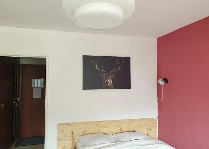 Appartement Résidence Belle Hutte Coté Pistes De La Bresse