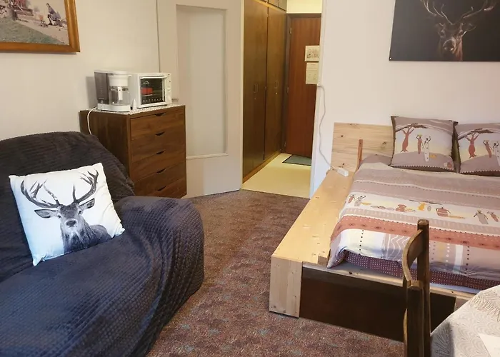 Résidence Belle Hutte Coté Pistes De Appartement