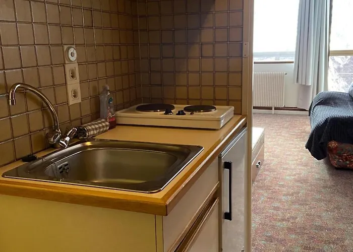 Belle Hutte Cote Pistes De * La Bresse